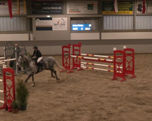 Reitturnier Luhmühlen 2025