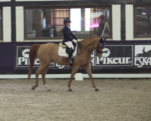 Reitturnier Vlotho-Exter 2025