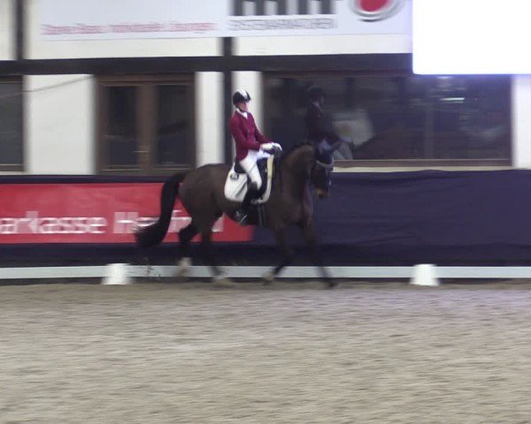 Reitturnier Vlotho-Exter 2025