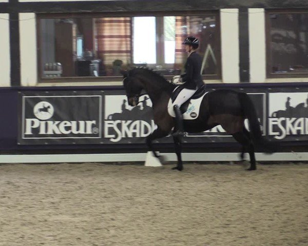 Reitturnier Vlotho-Exter 2025