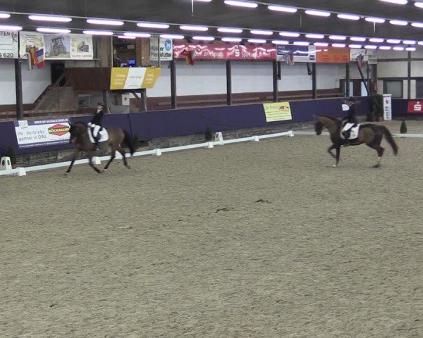 Reitturnier Vlotho-Exter 2025