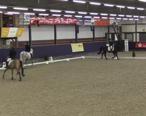 Reitturnier Vlotho-Exter 2025
