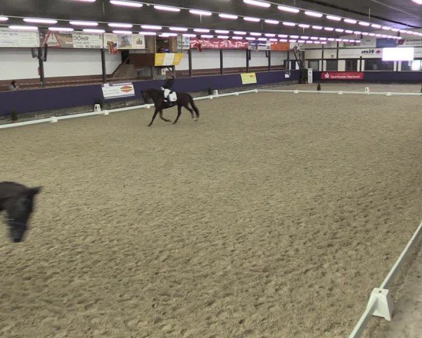 Reitturnier Vlotho-Exter 2025