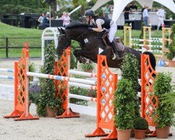 broodmare Diavari 2 (German Sport Horse, 2010, from Diarado)