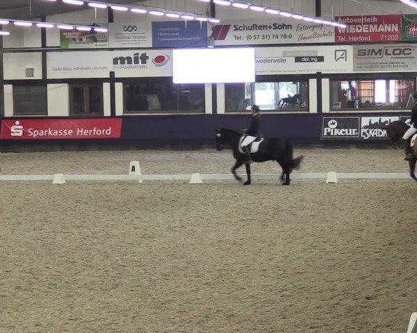 Reitturnier Vlotho-Exter 2025