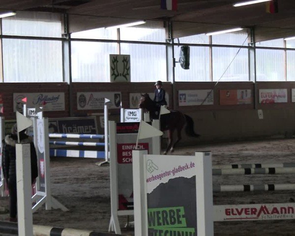 Reitturnier Lembeck 2025