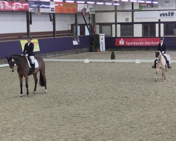 Reitturnier Vlotho-Exter 2025