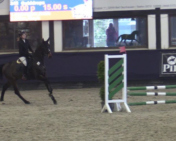 Reitturnier Vlotho-Exter 2025
