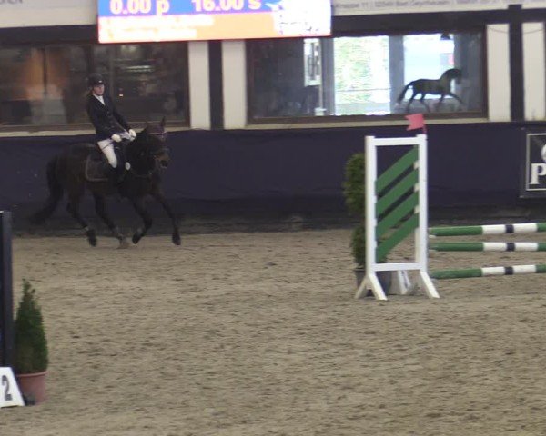 Reitturnier Vlotho-Exter 2025