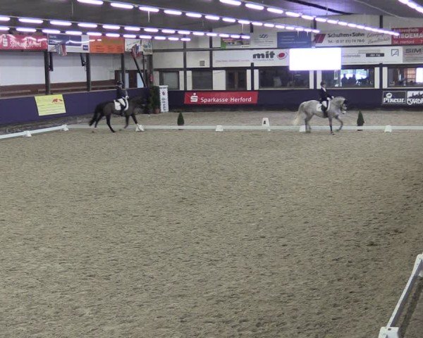 Reitturnier Vlotho-Exter 2025