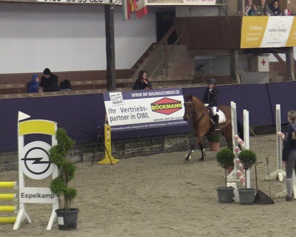 Reitturnier Vlotho-Exter 2025