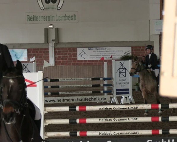 Reitturnier Lembeck 2025