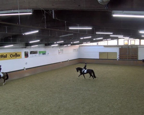 Reitturnier Laer 2025