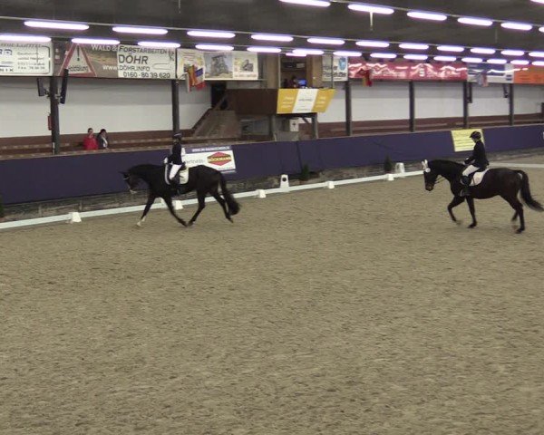 Reitturnier Vlotho-Exter 2025