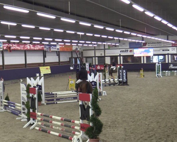 Reitturnier Vlotho-Exter 2025