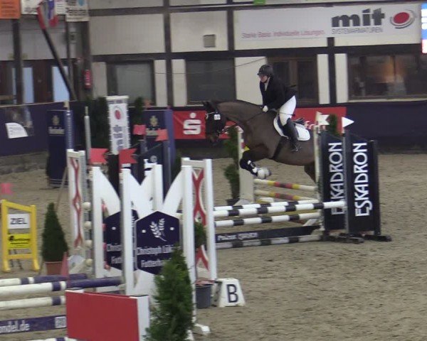 Reitturnier Vlotho-Exter 2025