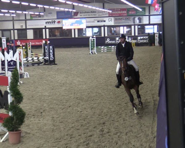Reitturnier Vlotho-Exter 2025