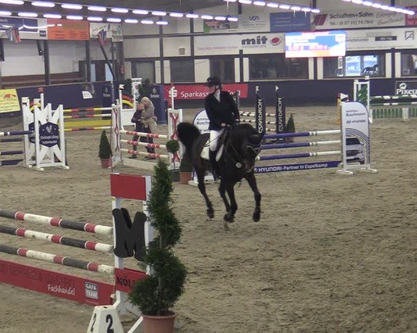Reitturnier Vlotho-Exter 2025