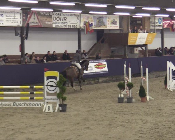 Reitturnier Vlotho-Exter 2025