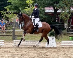 broodmare Antaris First G (Oldenburg, 2016, from Nymphenburg's First Ampere)