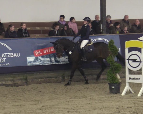 Reitturnier Vlotho-Exter 2025