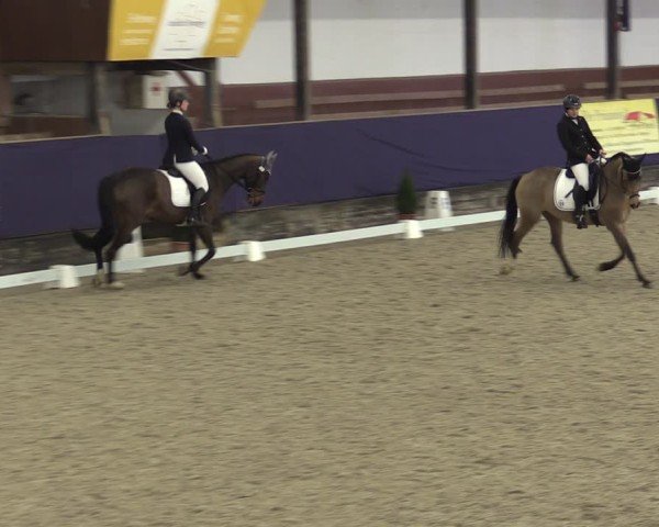 Reitturnier Vlotho-Exter 2025