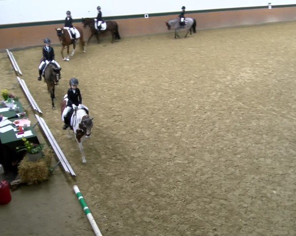 Reitturnier Laer 2025