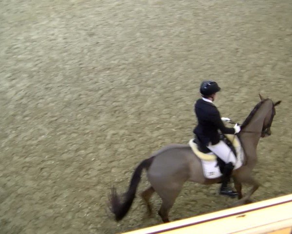Reitturnier Laer 2025