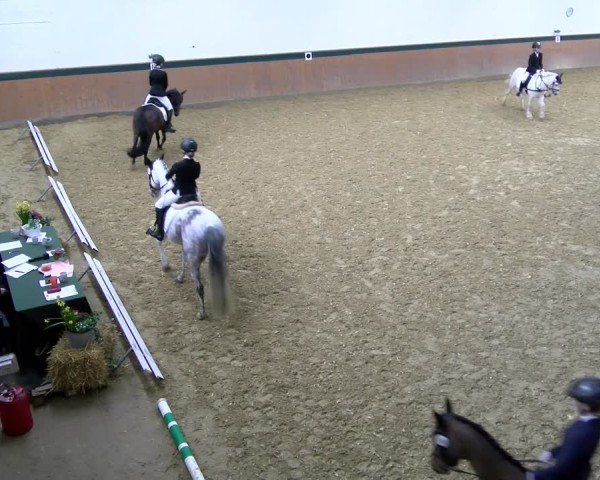 Reitturnier Laer 2025