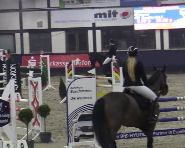 Reitturnier Vlotho-Exter 2025