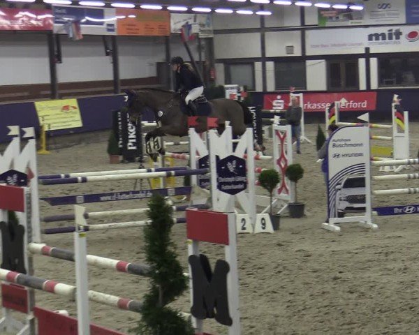 Reitturnier Vlotho-Exter 2025
