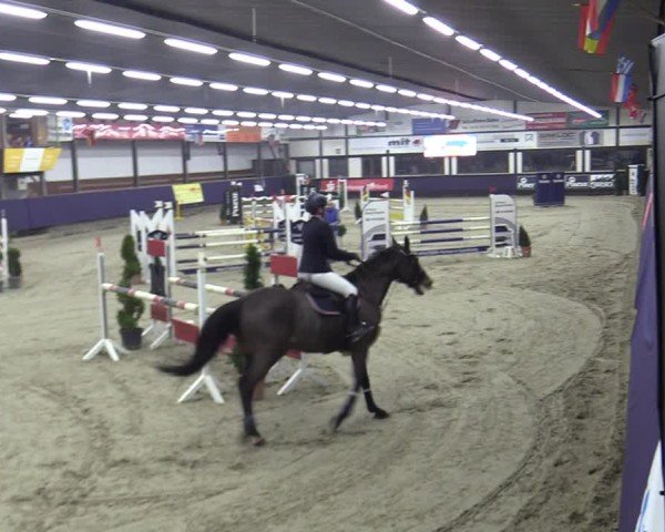 Reitturnier Vlotho-Exter 2025
