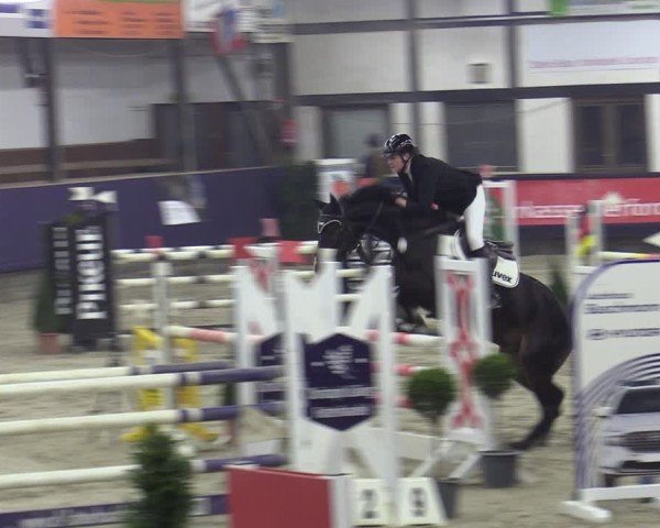 Reitturnier Vlotho-Exter 2025