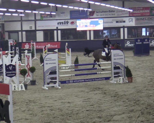 Reitturnier Vlotho-Exter 2025