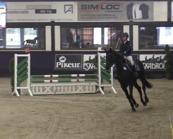 Reitturnier Vlotho-Exter 2025