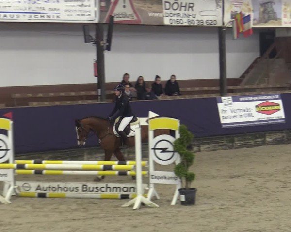 Jezdecký turnaj Vlotho-Exter 2025