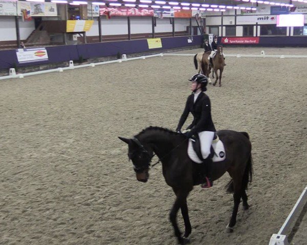 Reitturnier Vlotho-Exter 2025