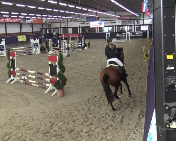Reitturnier Vlotho-Exter 2025