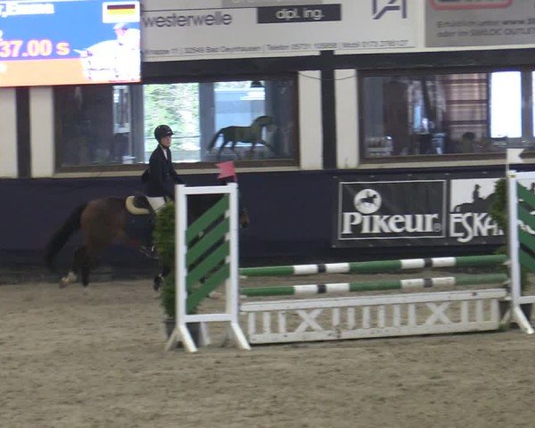 Reitturnier Vlotho-Exter 2025