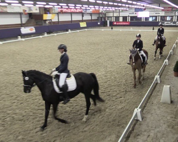 Reitturnier Vlotho-Exter 2025