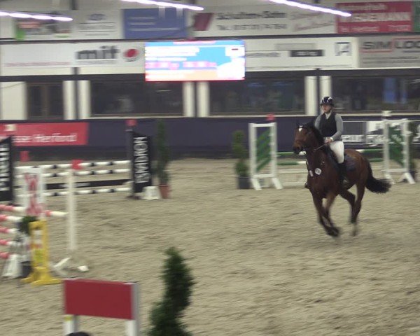 Reitturnier Vlotho-Exter 2025