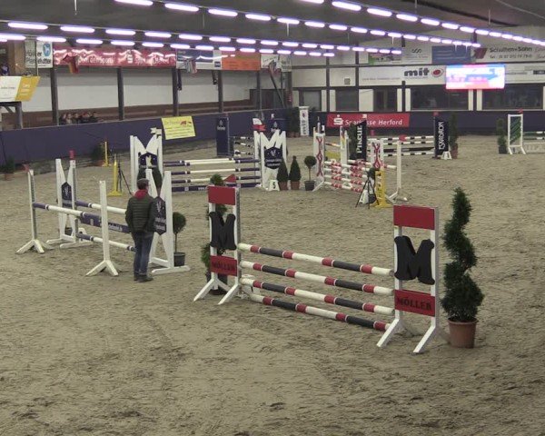 Reitturnier Vlotho-Exter 2025