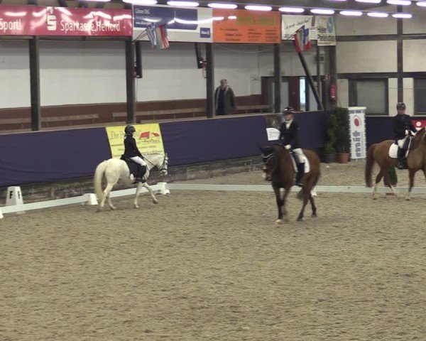 Reitturnier Vlotho-Exter 2025