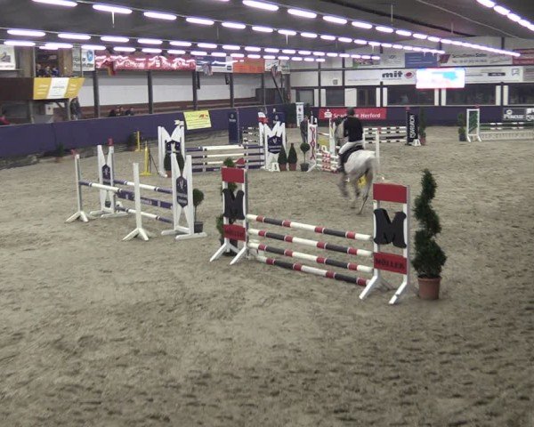 Reitturnier Vlotho-Exter 2025