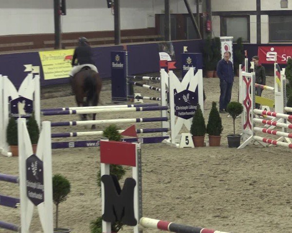 Reitturnier Vlotho-Exter 2025