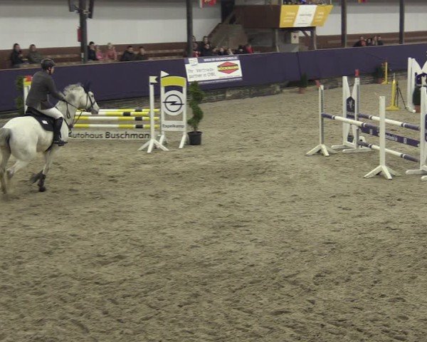 Reitturnier Vlotho-Exter 2025