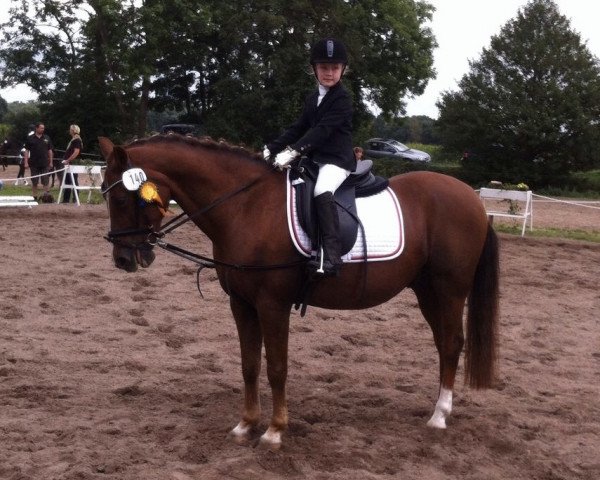 dressage horse Waterloo's World (German Riding Pony, 1996, from Windsor N)