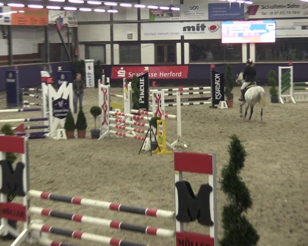 Reitturnier Vlotho-Exter 2025