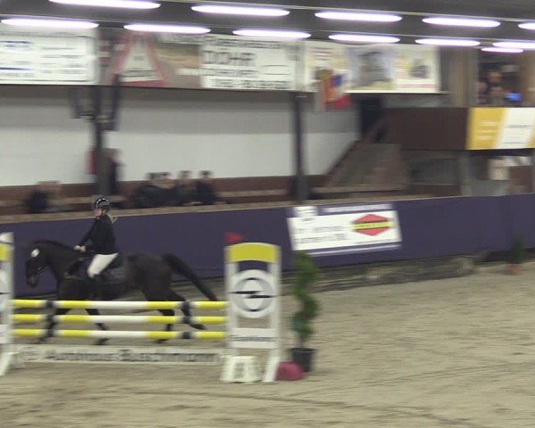 Reitturnier Vlotho-Exter 2025