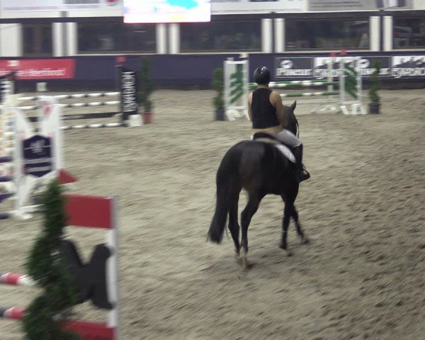 Reitturnier Vlotho-Exter 2025